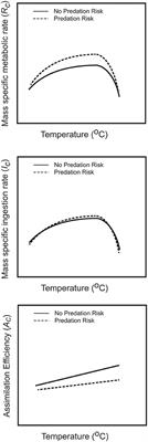 The Temperature Dependence of Predation Stress and Prey Nutritional Stoichiometry